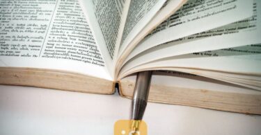 dictionary book pages