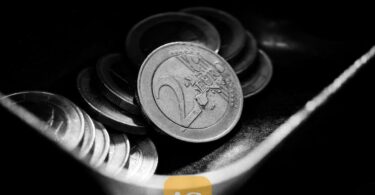 euro coins wallet