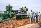 farm workers harvest